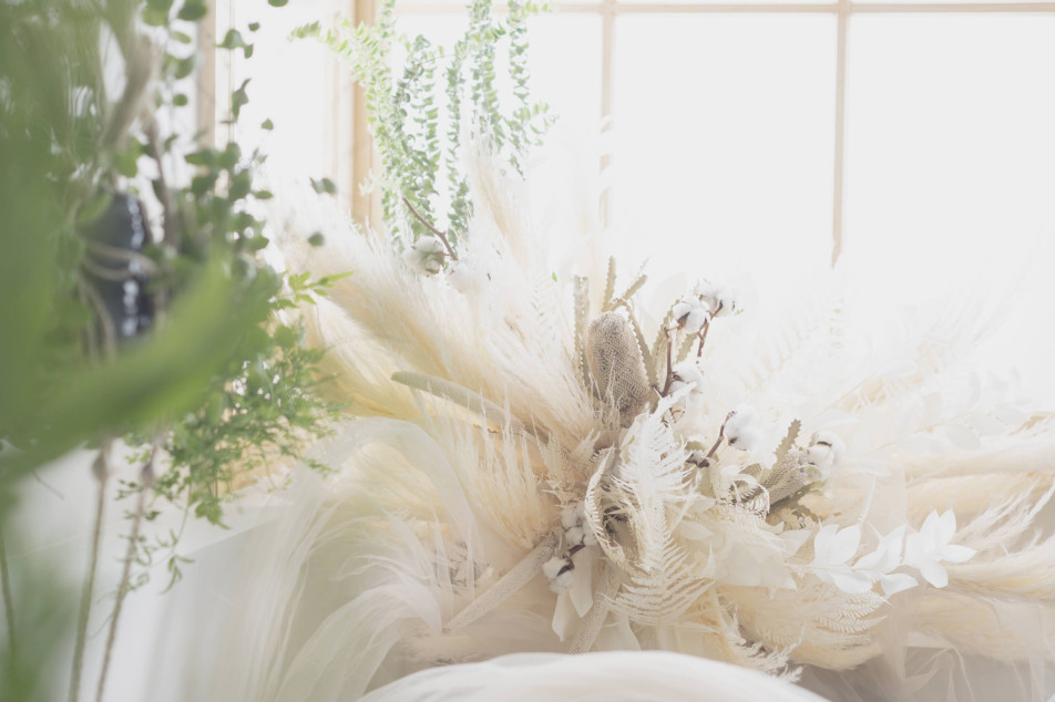 photostudio cottonの画像