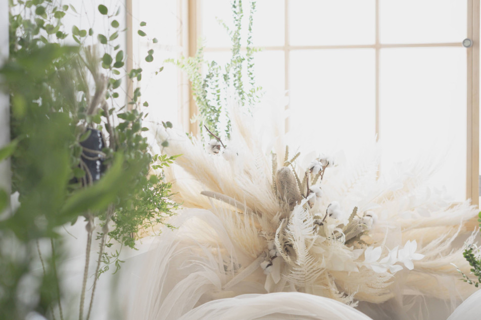 photostudio cottonの画像