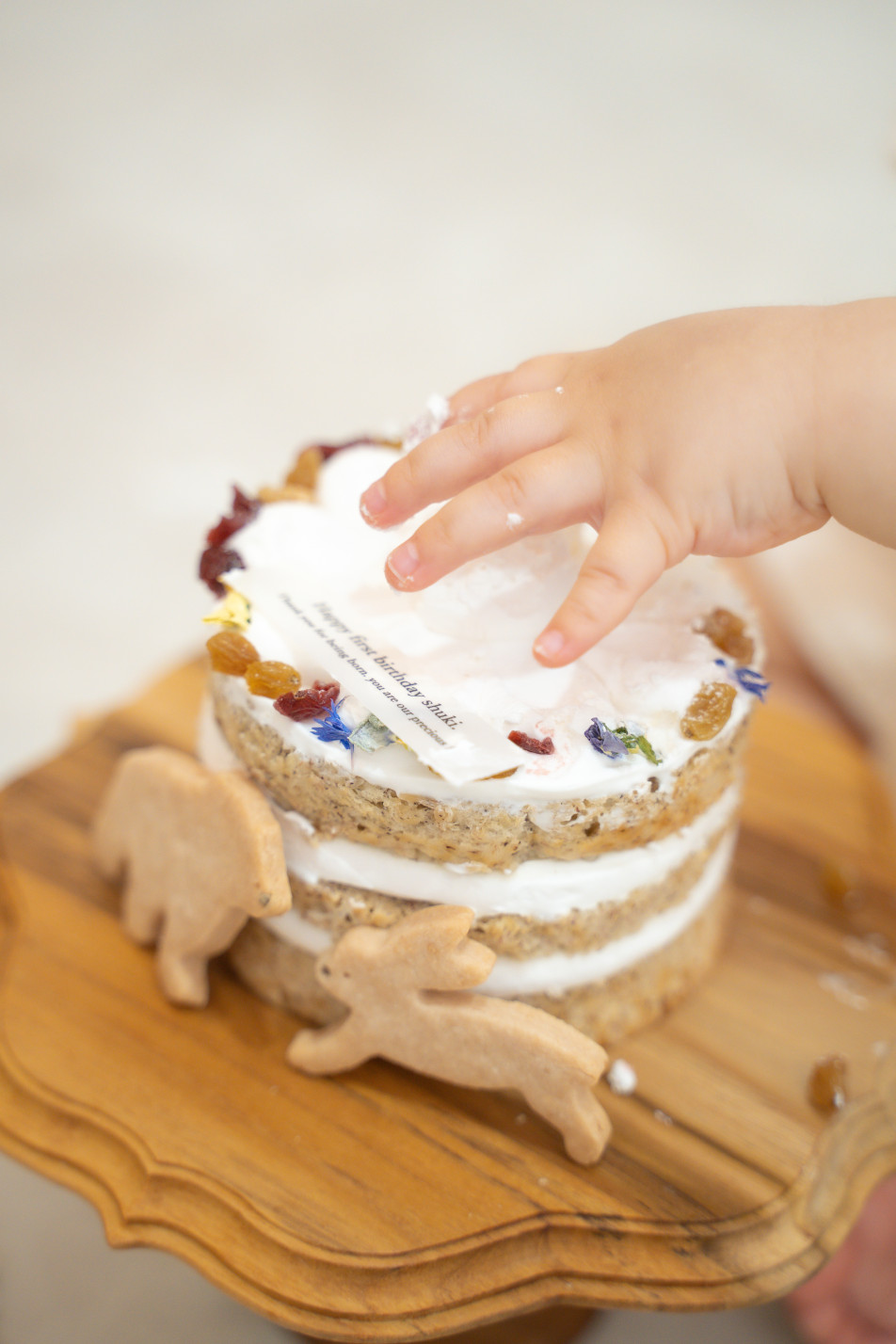 fete￤baby photo studioの画像