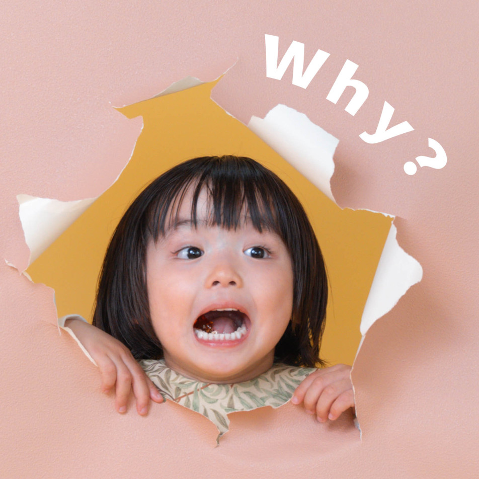 fete￤baby photo studioの画像
