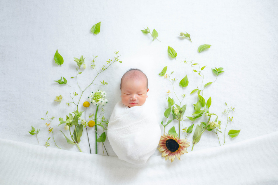 fete￤baby photo studioの画像