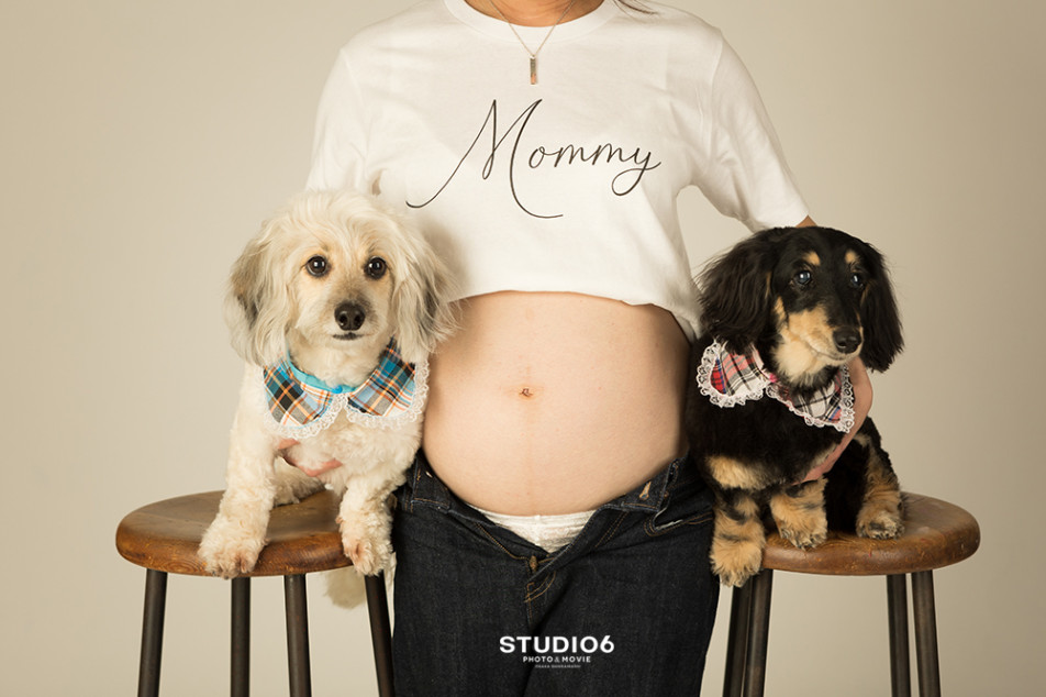STUDIO6の画像