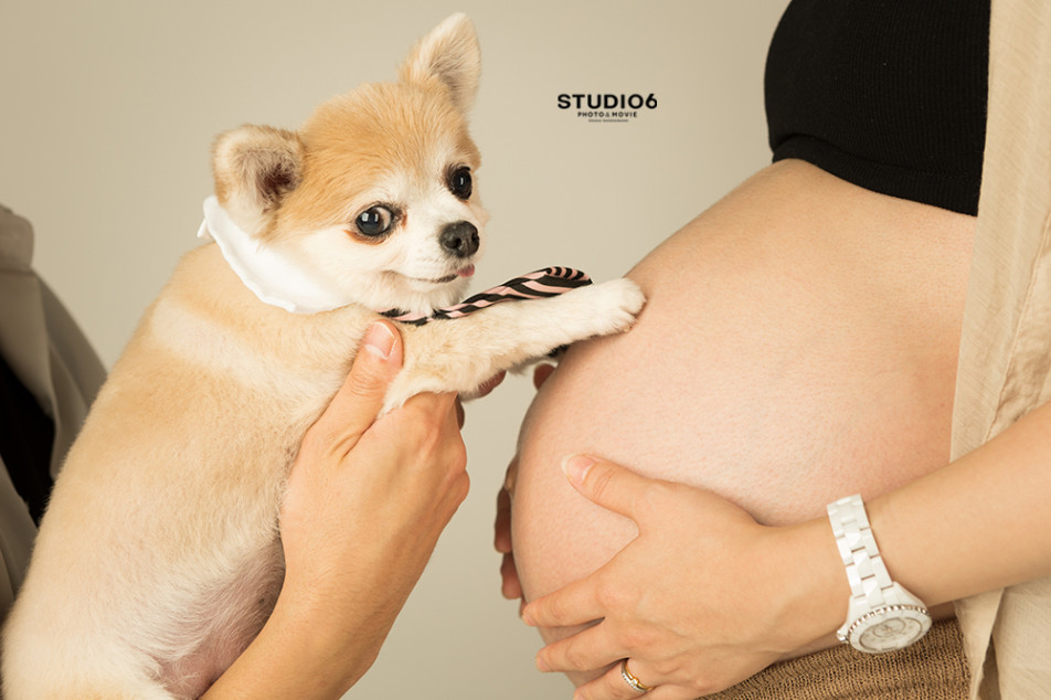 STUDIO6の画像