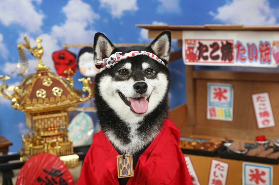 不思議の国のわんわん写真館の画像
