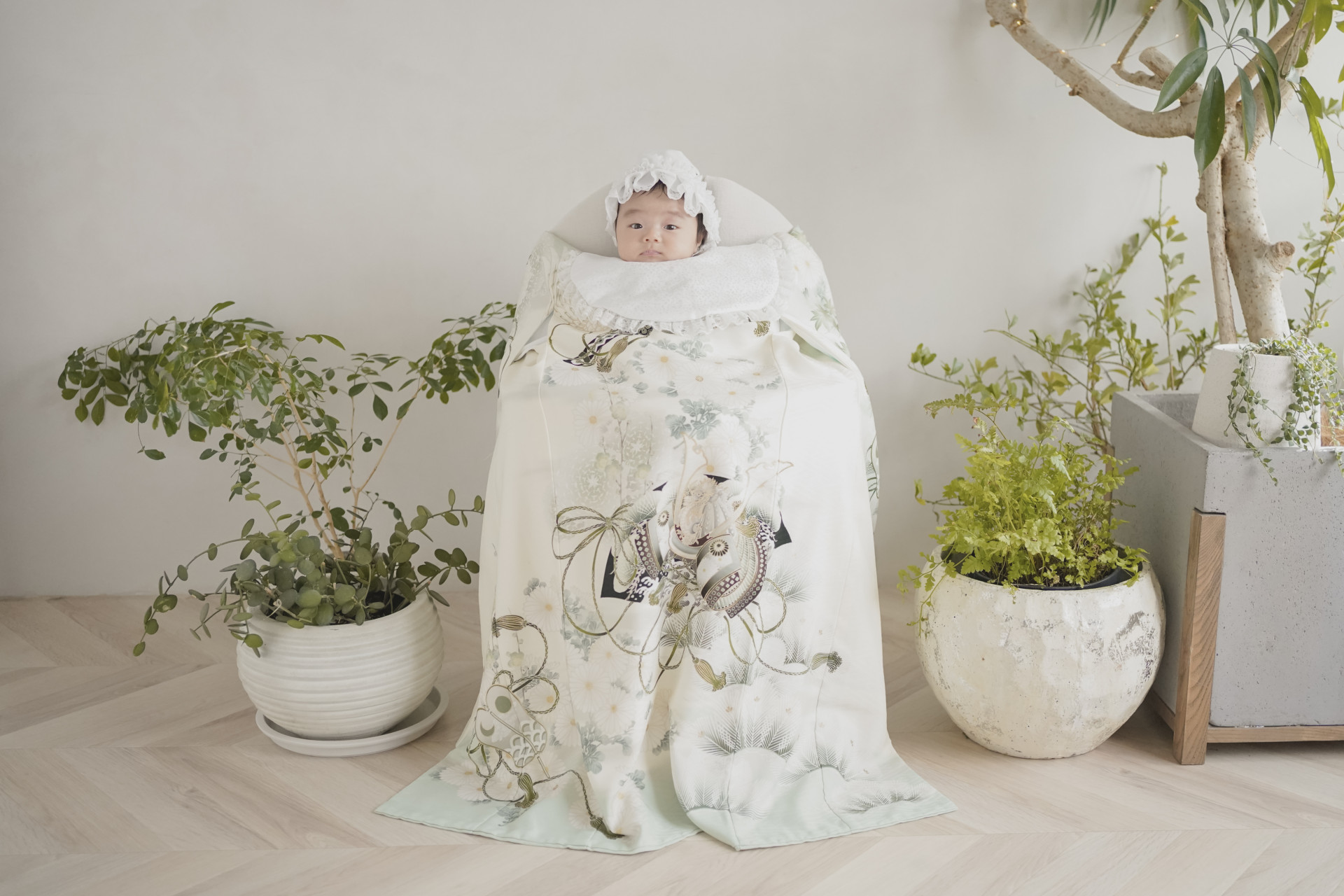 photostudio cottonのメイン画像