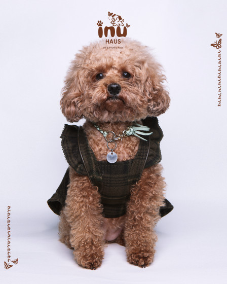 韓国式家族写真スタジオ バタフライハウスなんばの画像